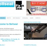 Bellseal Fix 'n Seal